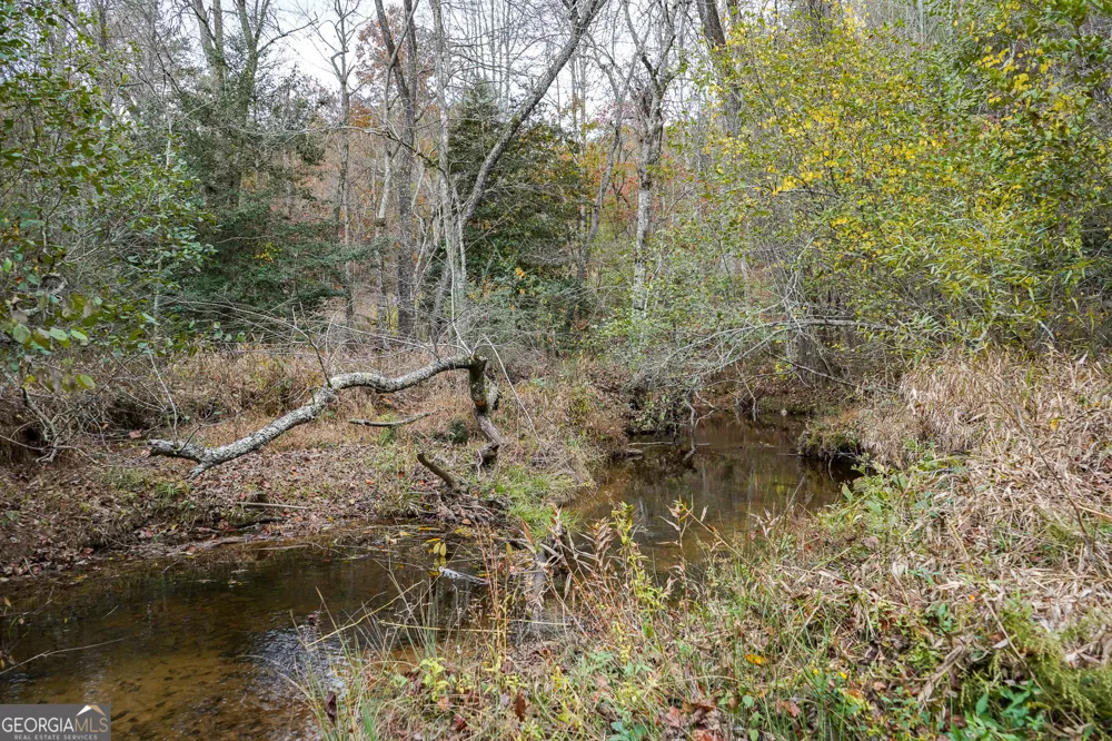 0 Rizzitello LN Blairsville, GA 30512