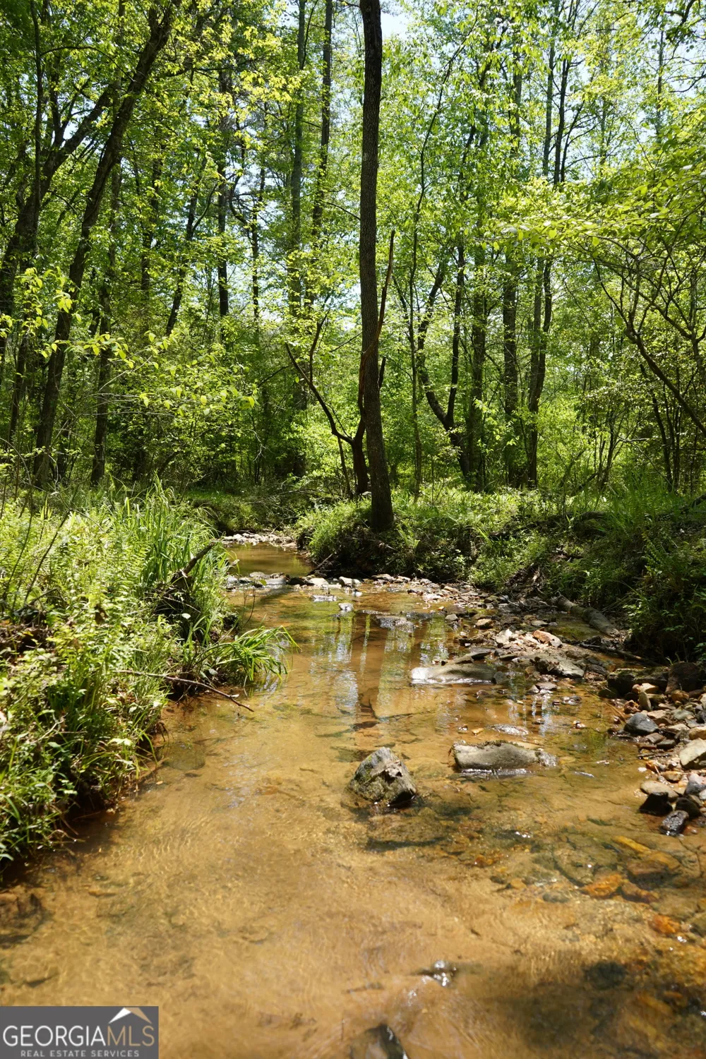 0 Rizzitello LN Blairsville, GA 30512