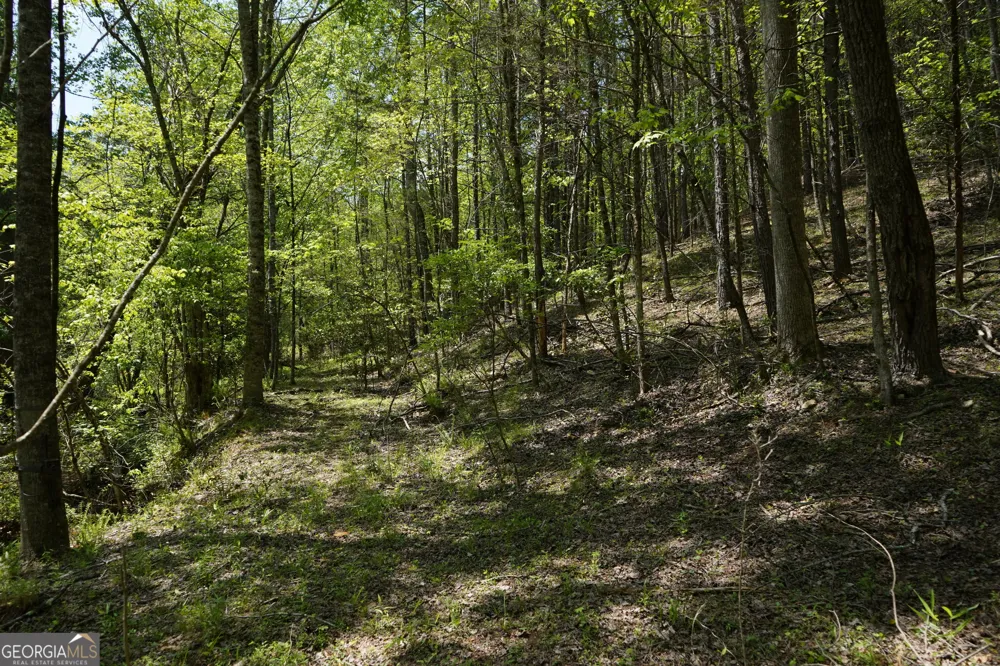 0 Rizzitello LN Blairsville, GA 30512