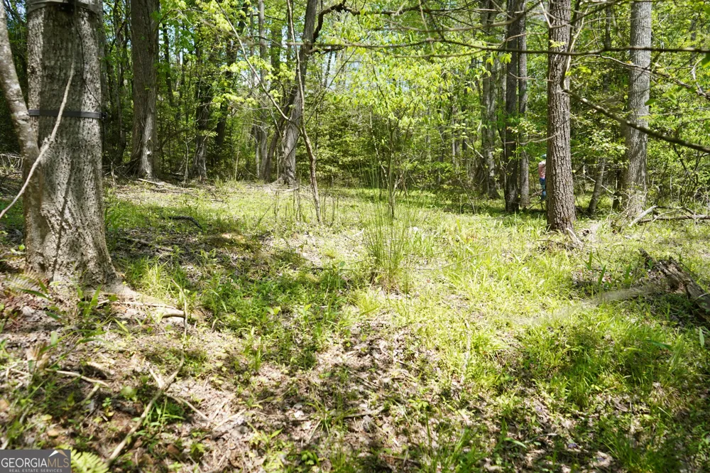 0 Rizzitello LN Blairsville, GA 30512