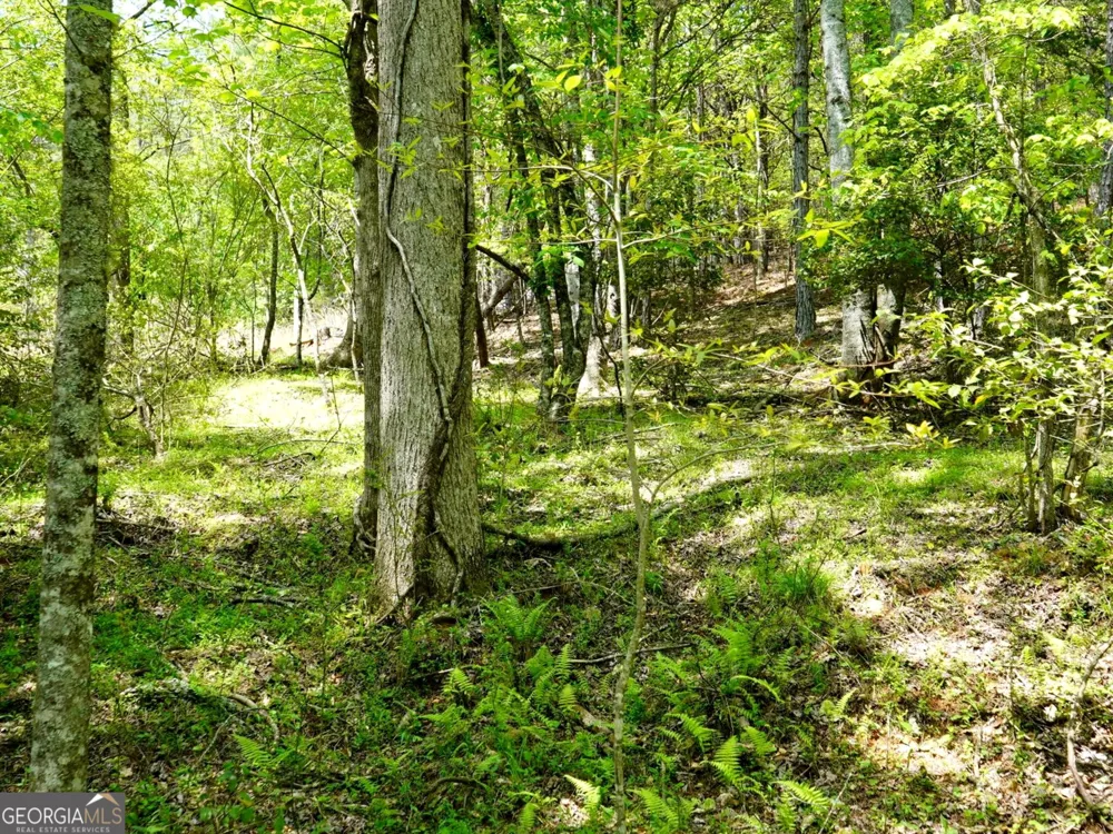 0 Rizzitello LN Blairsville, GA 30512
