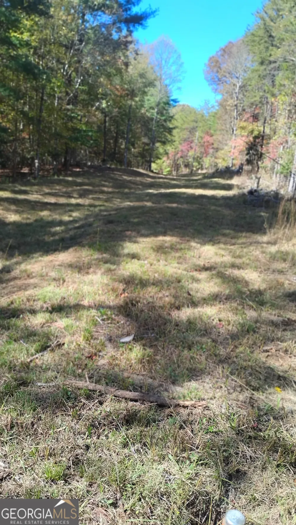 0 Rizzitello LN Blairsville, GA 30512