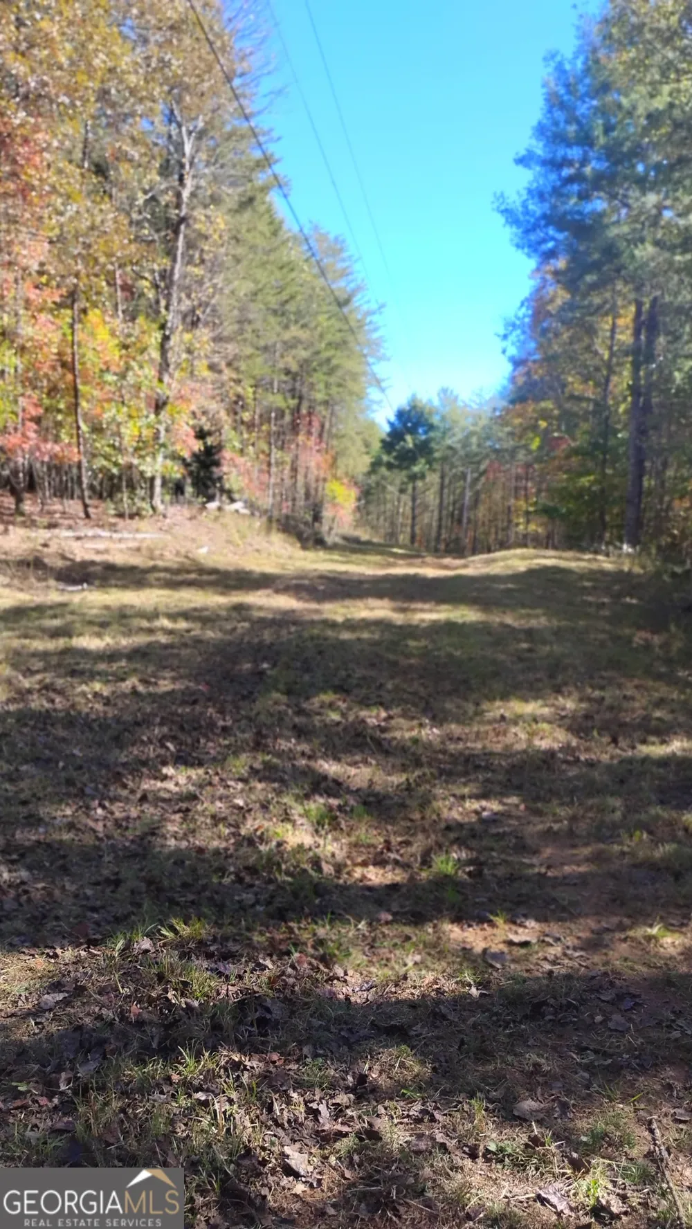 0 Rizzitello LN Blairsville, GA 30512