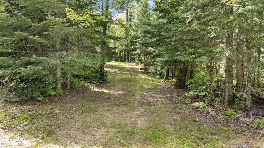 7885 Lake Fourteen Road Britt, MN 55710