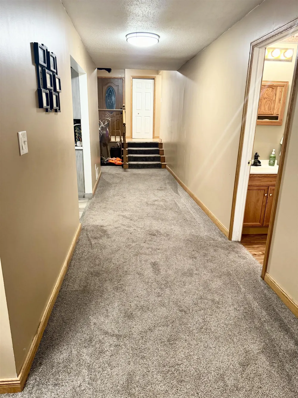6510 S Begole Road Fulton Township, MI 48871