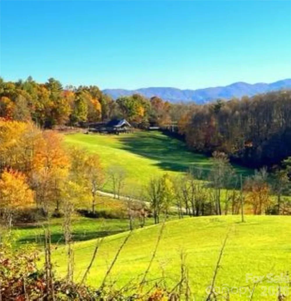 461 Ferguson Cove Loop Clyde, NC 28721