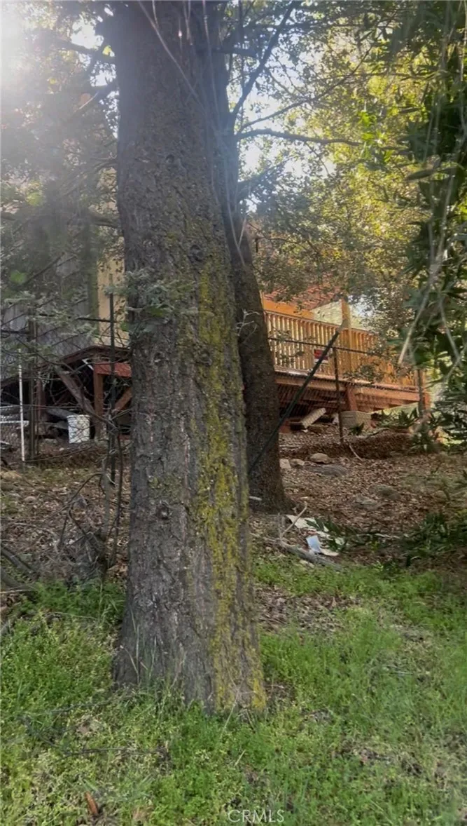 342 CANYON DR Cedarpines Park, CA 92322