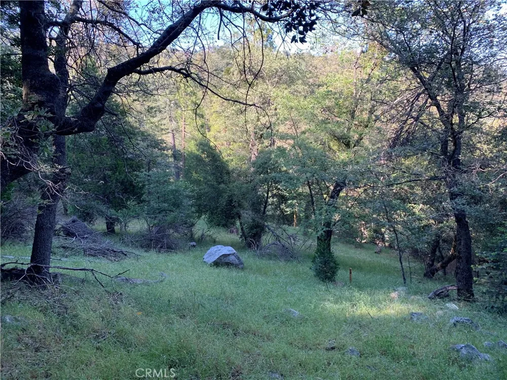 342 CANYON DR Cedarpines Park, CA 92322