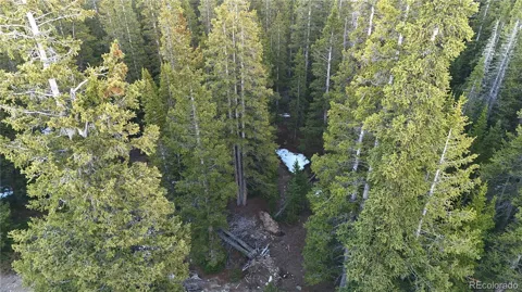 252 Silverheels Place