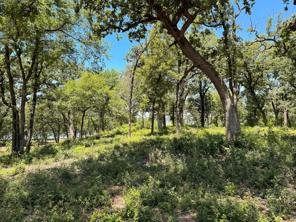 Lcr 882 Jewett, TX 75846