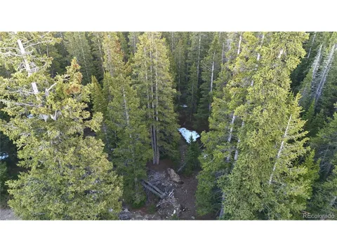 252 Silverheels Place