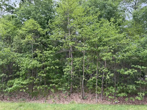 Vacant Lot 565 E