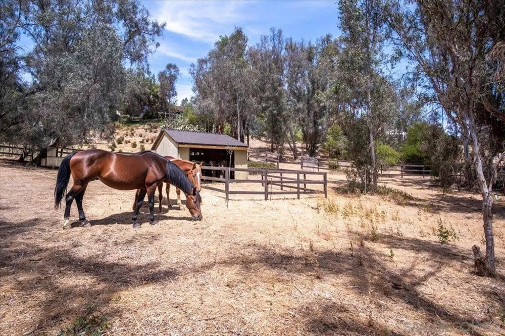 4905 EL ARCO IRIS Rancho Santa Fe, CA 92067