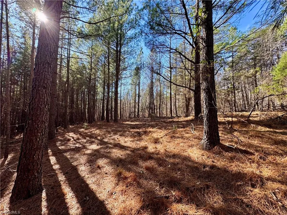 11901 NC Highway 86 Prospect Hill, NC 27314
