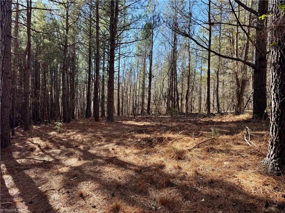 11901 NC Highway 86 Prospect Hill, NC 27314