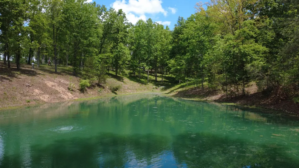 7948 Daugherty Capley Rd Primm Springs, TN 38476
