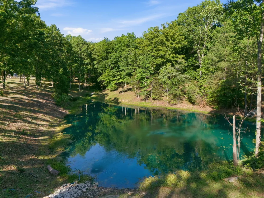 7948 Daugherty Capley Rd Primm Springs, TN 38476
