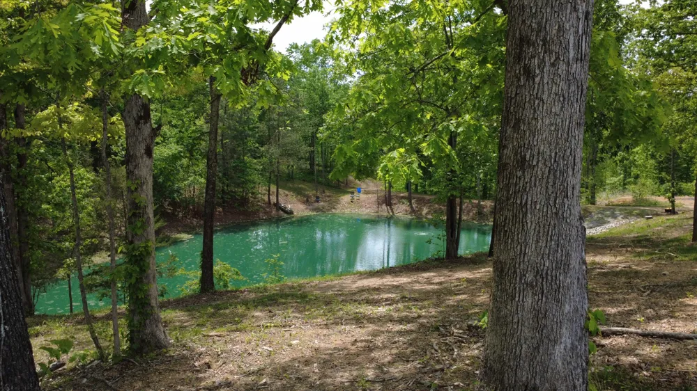 7948 Daugherty Capley Rd Primm Springs, TN 38476