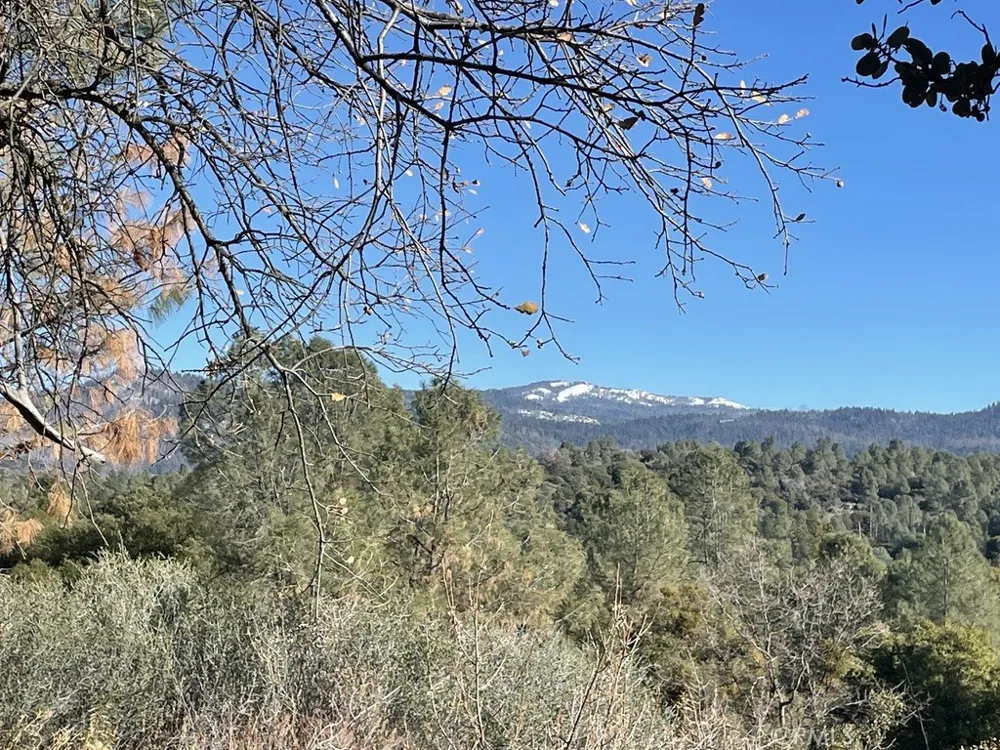 43016 Sunshine Mountain Oakhurst, CA 93644