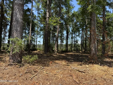 Lot 6 Near 4102 Swamp Fox Highway W