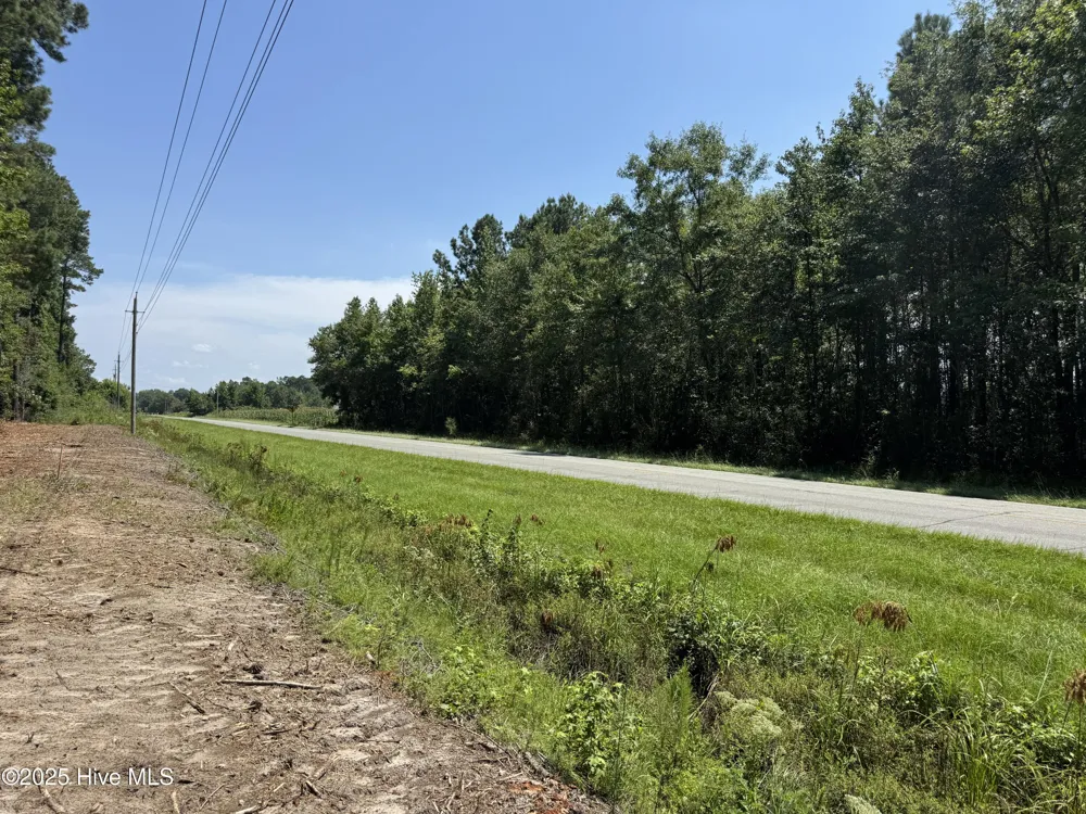 Lot 6 Near 4102 Swamp Fox Highway W Tabor City, NC 28463