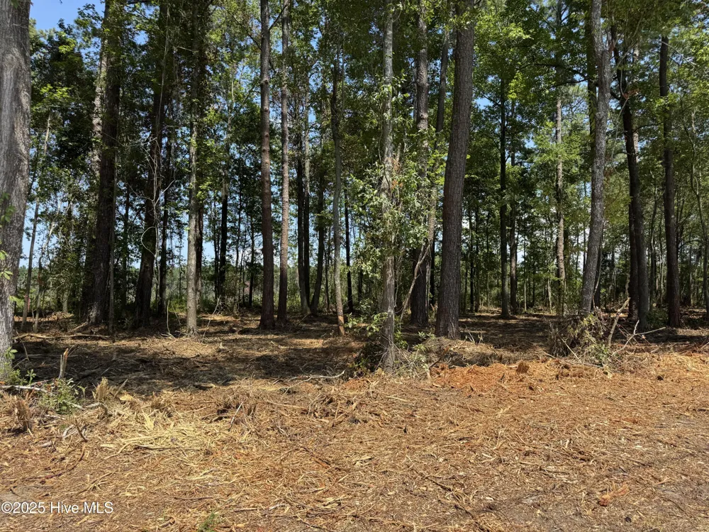 Lot 6 Near 4102 Swamp Fox Highway W Tabor City, NC 28463