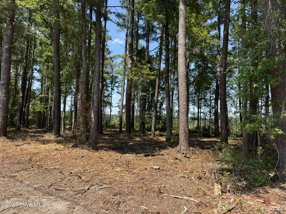 Lot 6 Near 4102 Swamp Fox Highway W Tabor City, NC 28463