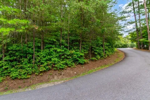 Lot 9 Laurel Creek Trail