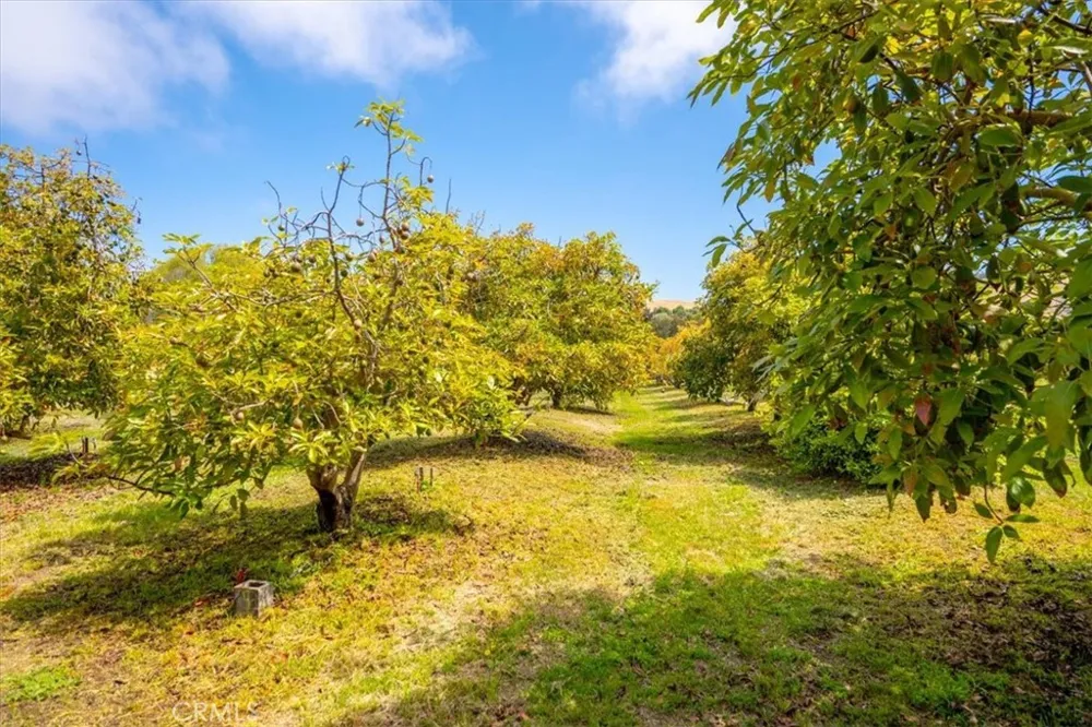 1301 Little Morro Creek Road Morro Bay, CA 93442