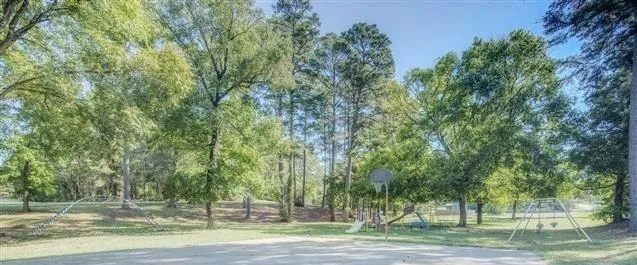 217 Cherry Tree Livingston, TX 77351