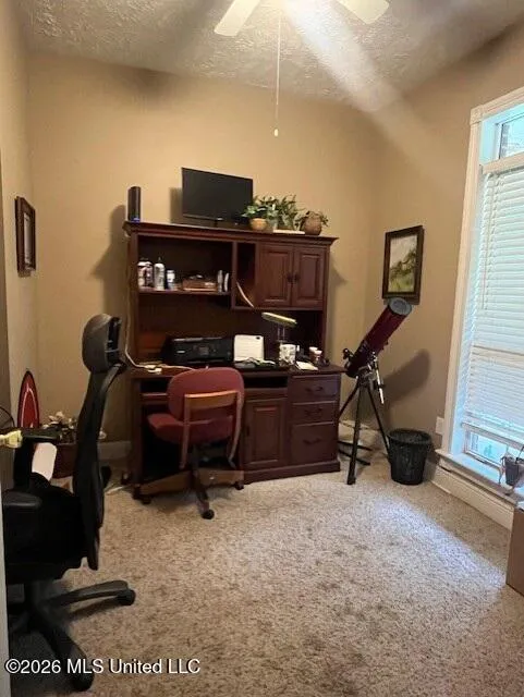 1177 David Benjamin Drive Mccomb, MS 39648