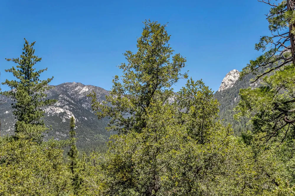54980 Tahquitz View Drive Idyllwild, CA 92549
