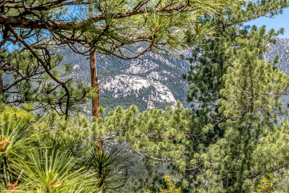 54980 Tahquitz View Drive Idyllwild, CA 92549
