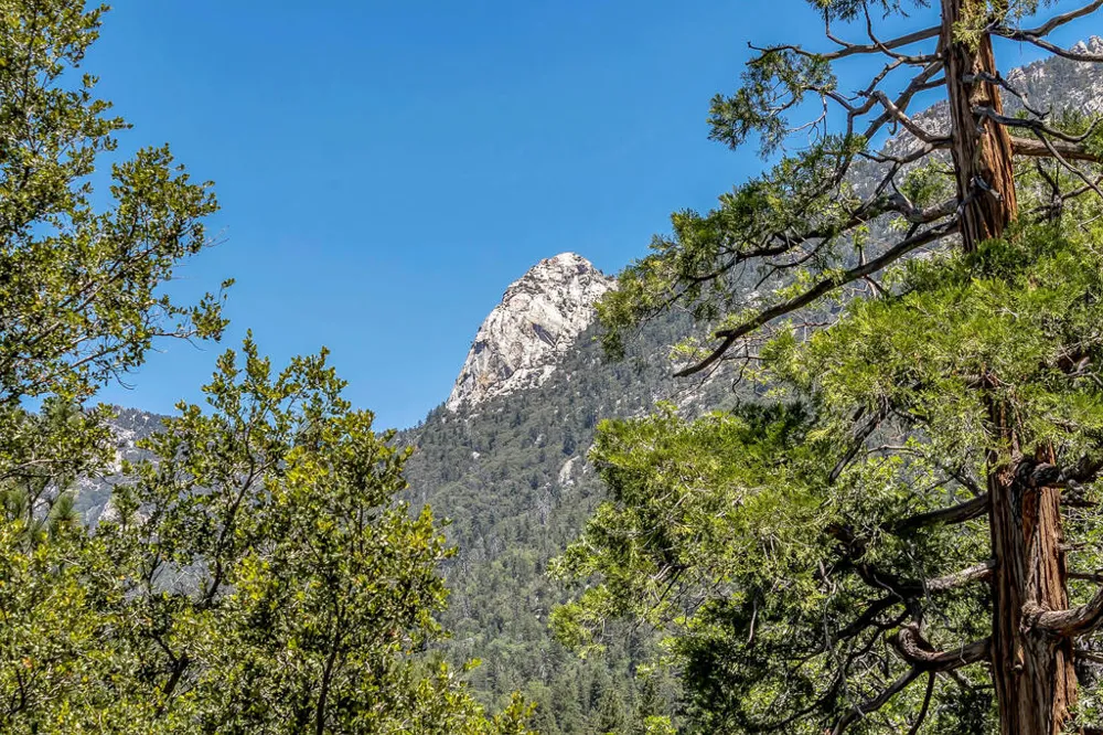 54980 Tahquitz View Drive Idyllwild, CA 92549