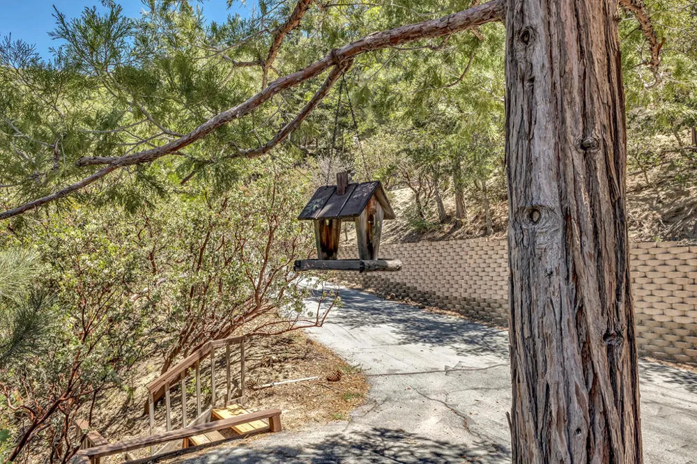 54980 Tahquitz View Drive Idyllwild, CA 92549