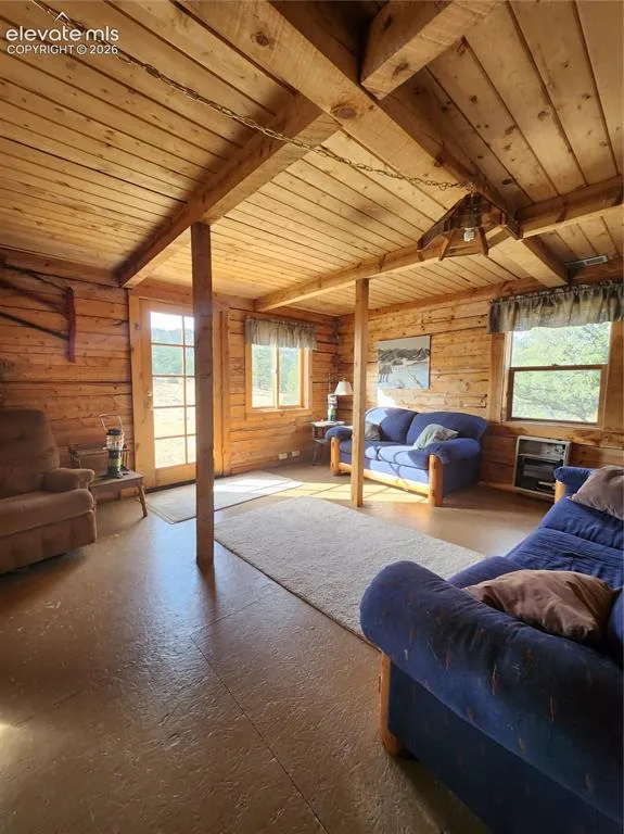 599 Ferris Drive Westcliffe, CO 81252