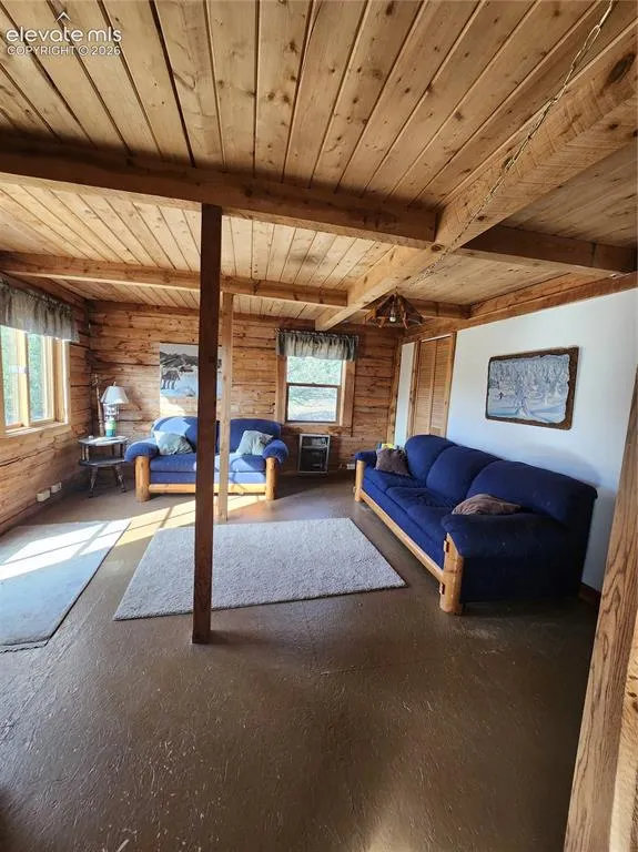 599 Ferris Drive Westcliffe, CO 81252