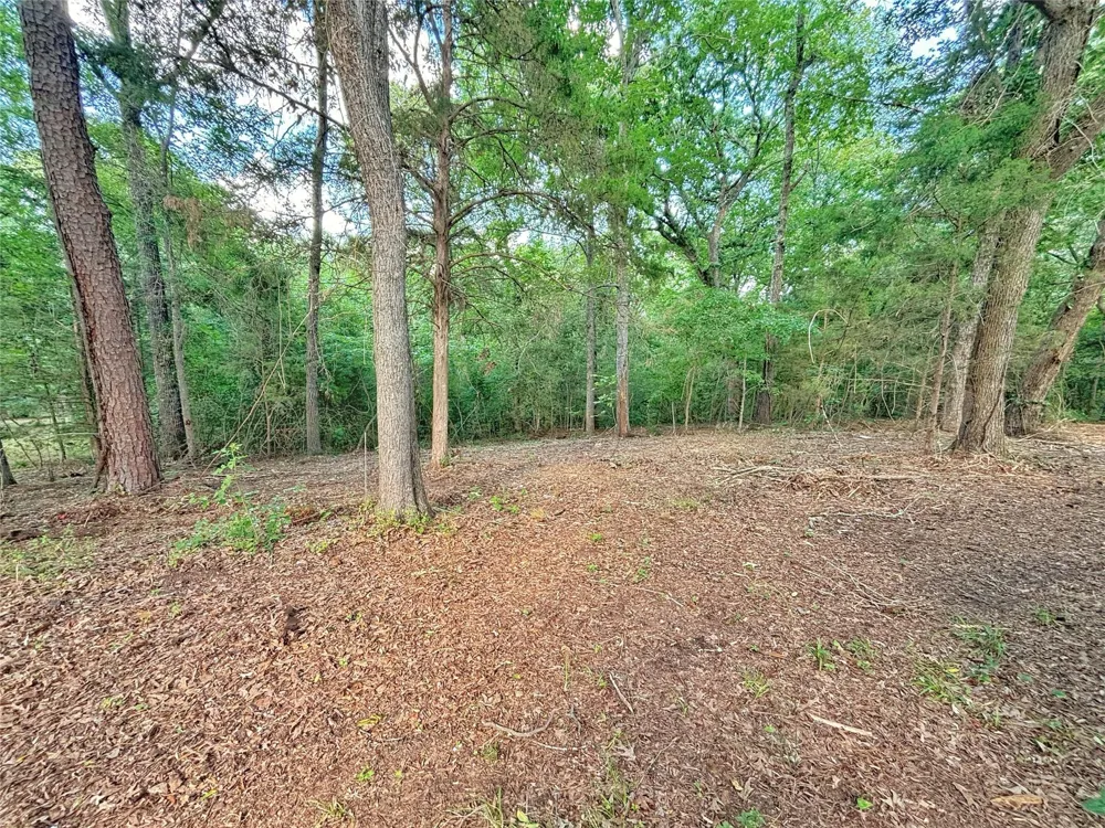 390 Cr 1701 Rusk, TX 75654