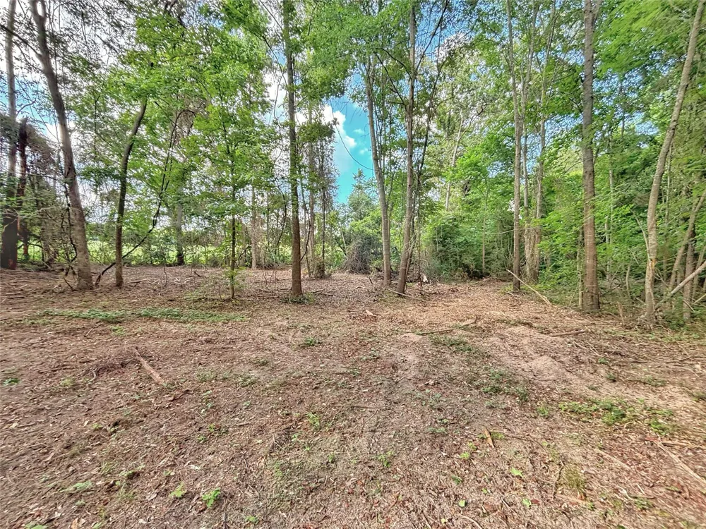390 Cr 1701 Rusk, TX 75654