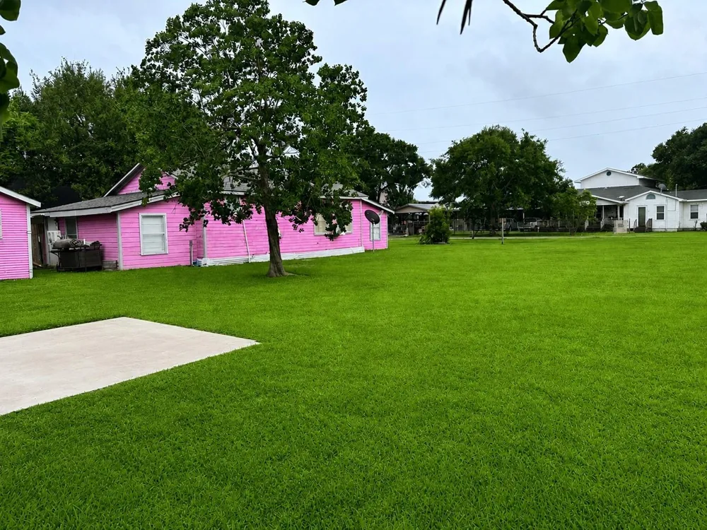 203 Mcneir Street Anahuac, TX 77514