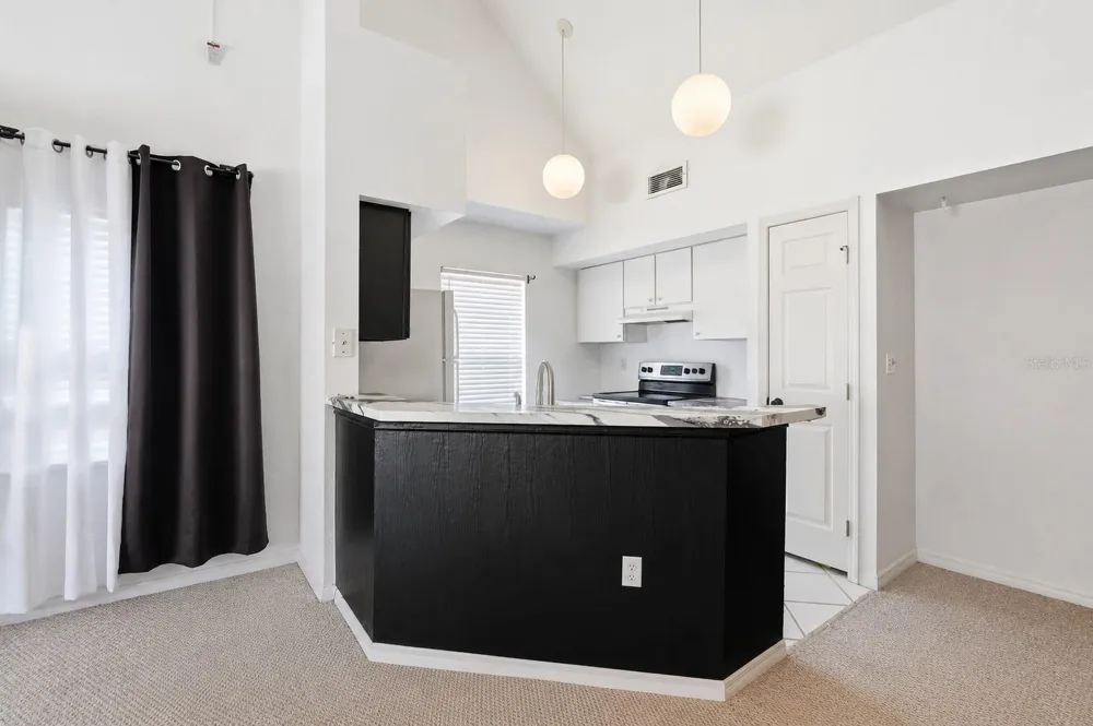 10436 WHITE LAKE COURT #10436 Tampa, FL 33626