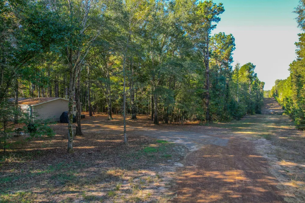 7821 Cr-3409 Chandler, TX 75758
