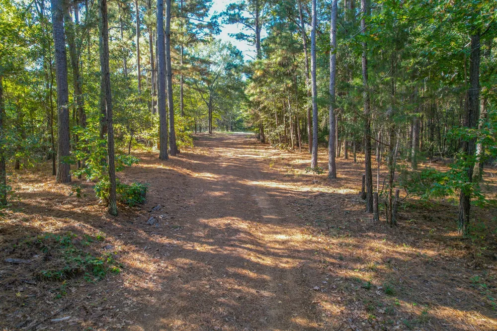 7821 Cr-3409 Chandler, TX 75758