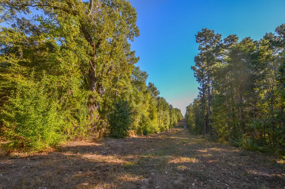 7821 Cr-3409 Chandler, TX 75758