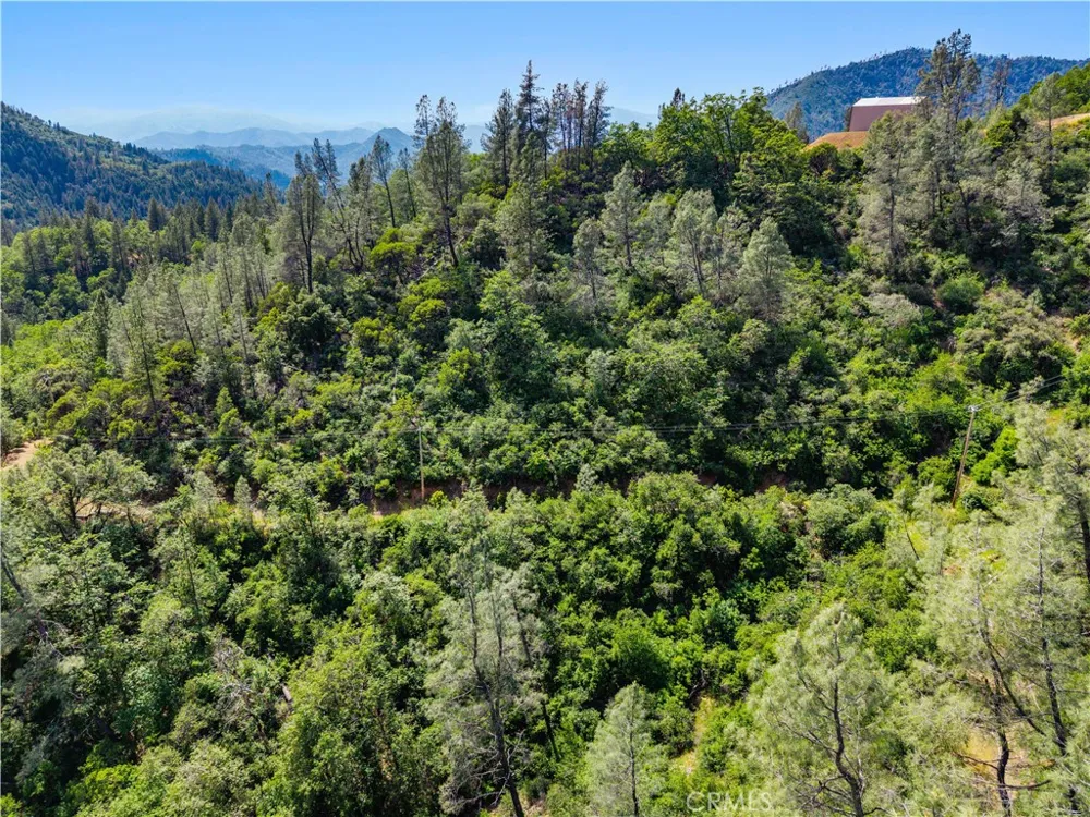 19753 Bonnie Vista Lakehead, CA 96051