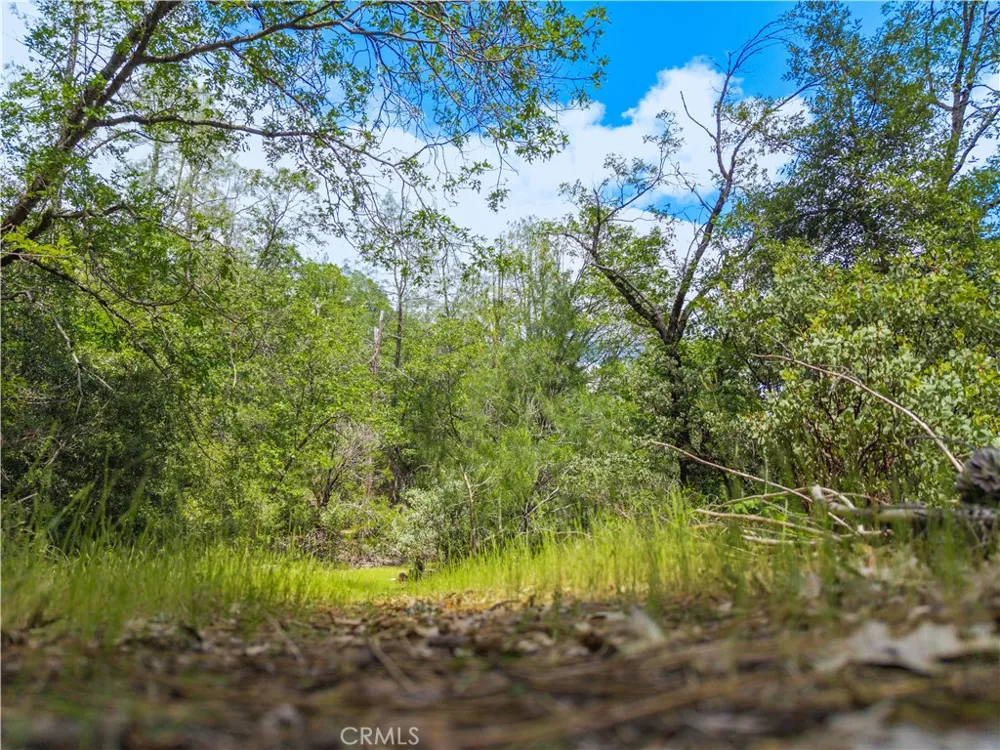 19753 Bonnie Vista Lakehead, CA 96051