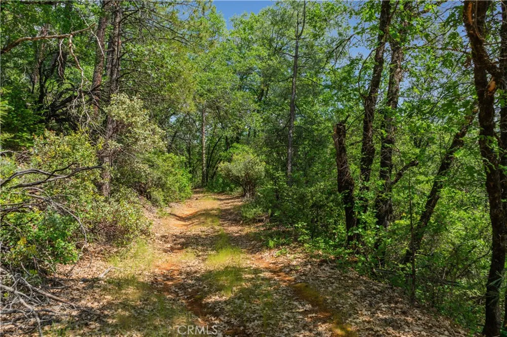 19753 Bonnie Vista Lakehead, CA 96051