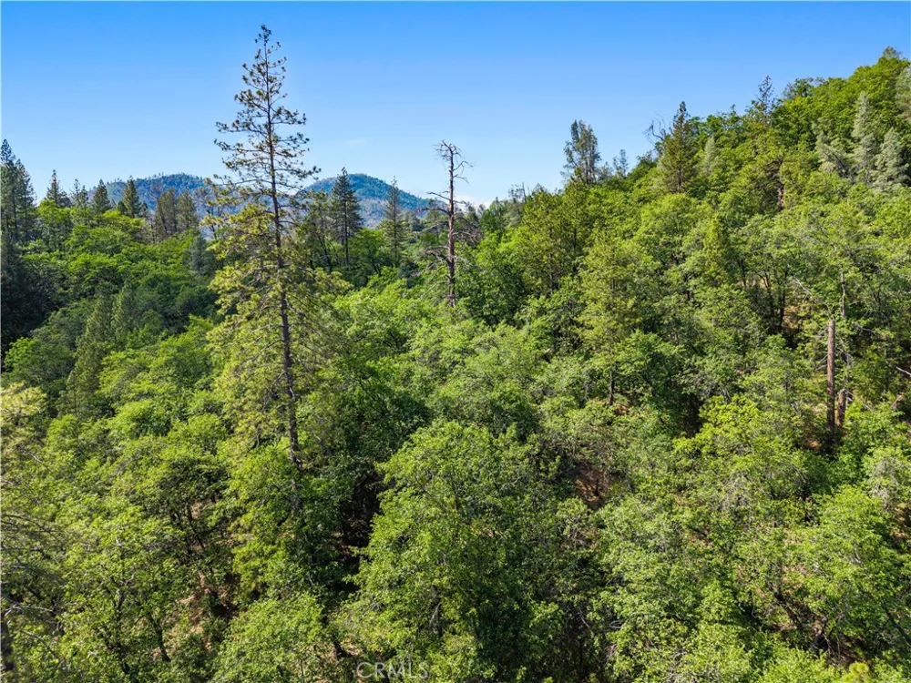 19753 Bonnie Vista Lakehead, CA 96051