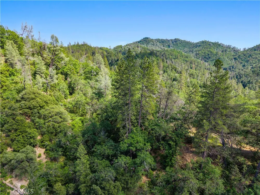 19753 Bonnie Vista Lakehead, CA 96051