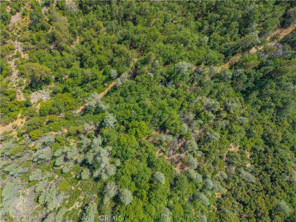 19753 Bonnie Vista Lakehead, CA 96051